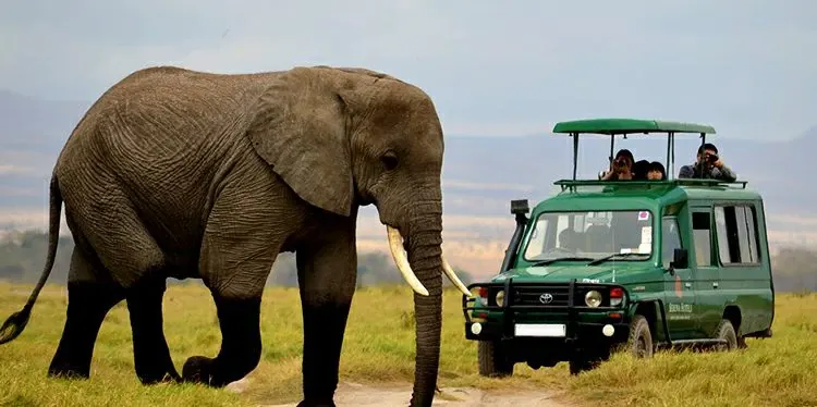 Akagera National Park & Game Drives