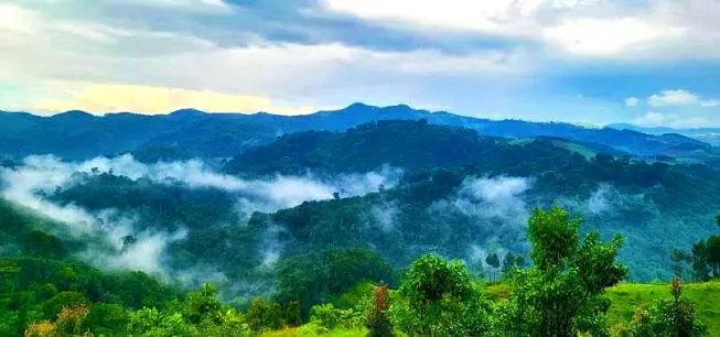 Gishwati-Mukura forest
