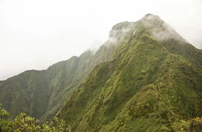 Mount Sabyinyo