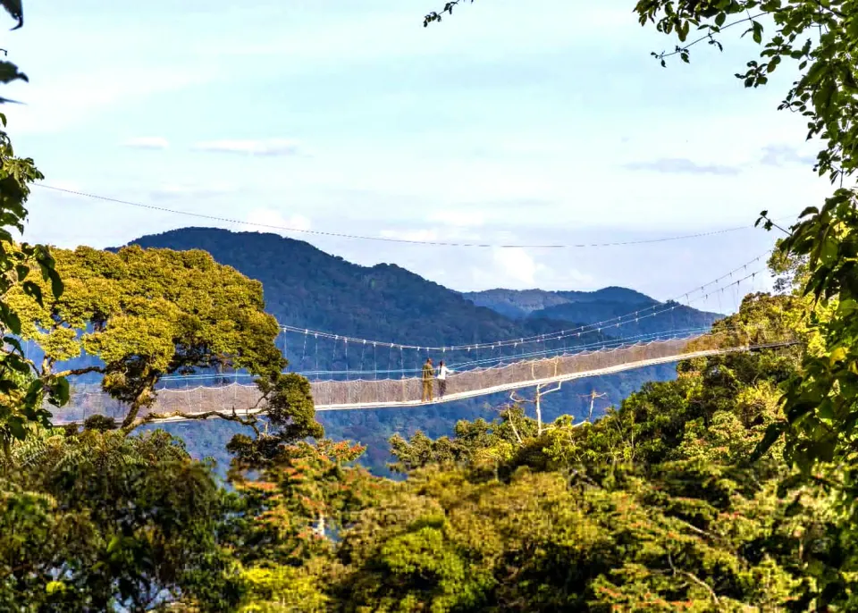 Nyungwe rainforest