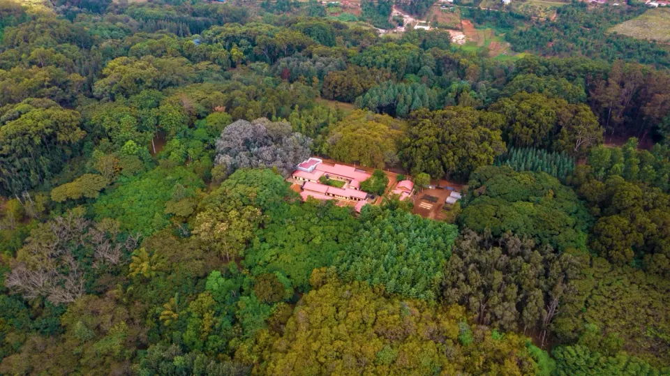 Ruhande Arboretum
