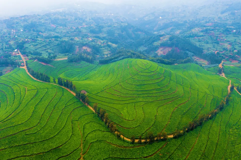 Terraced highlands of Rwanda